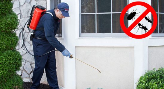 Kofçaz Hamam Böceği İlaçlama böcek ilaçlama ve haşere kontrolü — ilaclama-tr.com